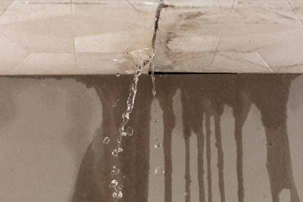 Professional Water Damage Repair technician working in Tustin, CA